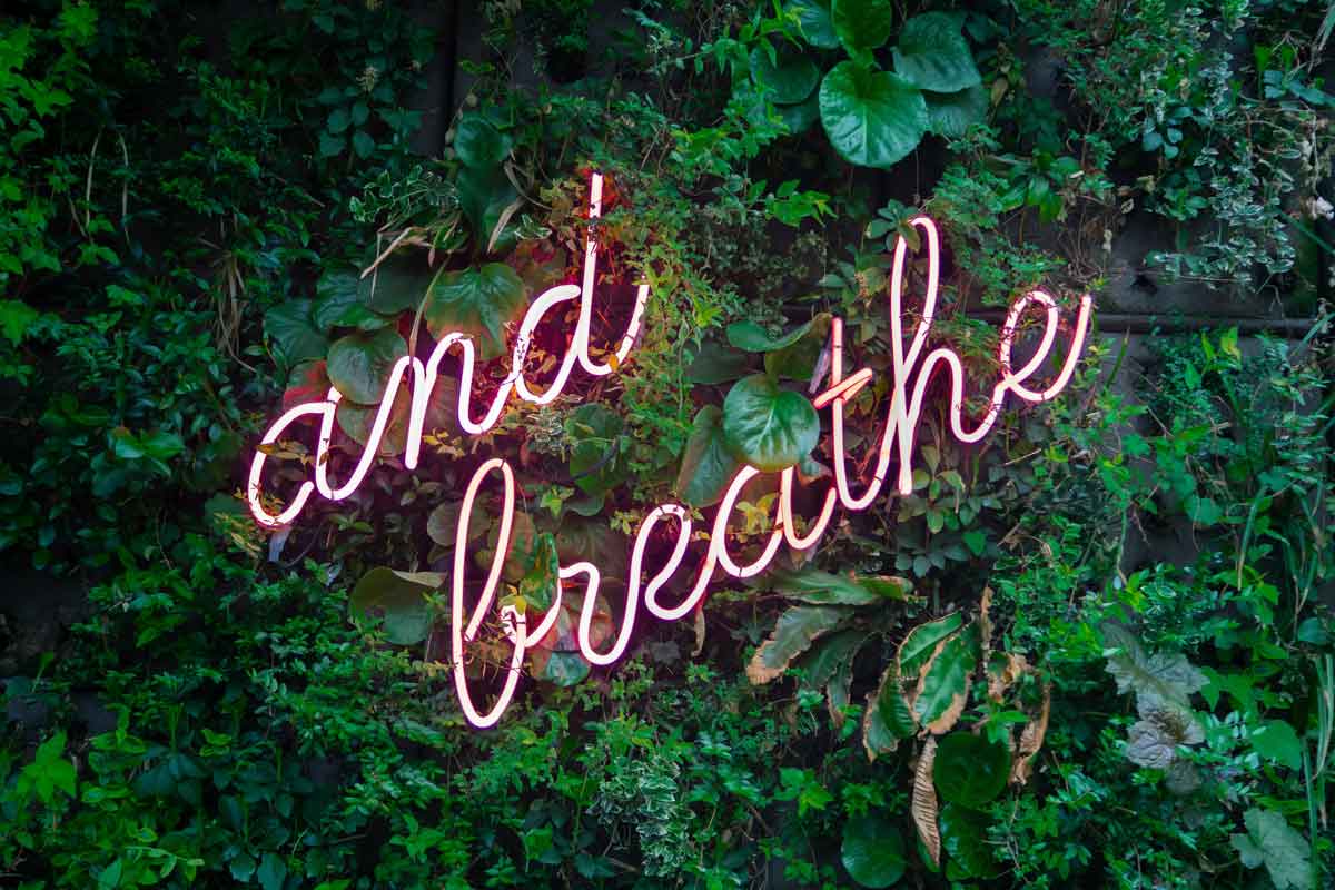 Neon lights spelling the words "and breathe" on top of green leaves